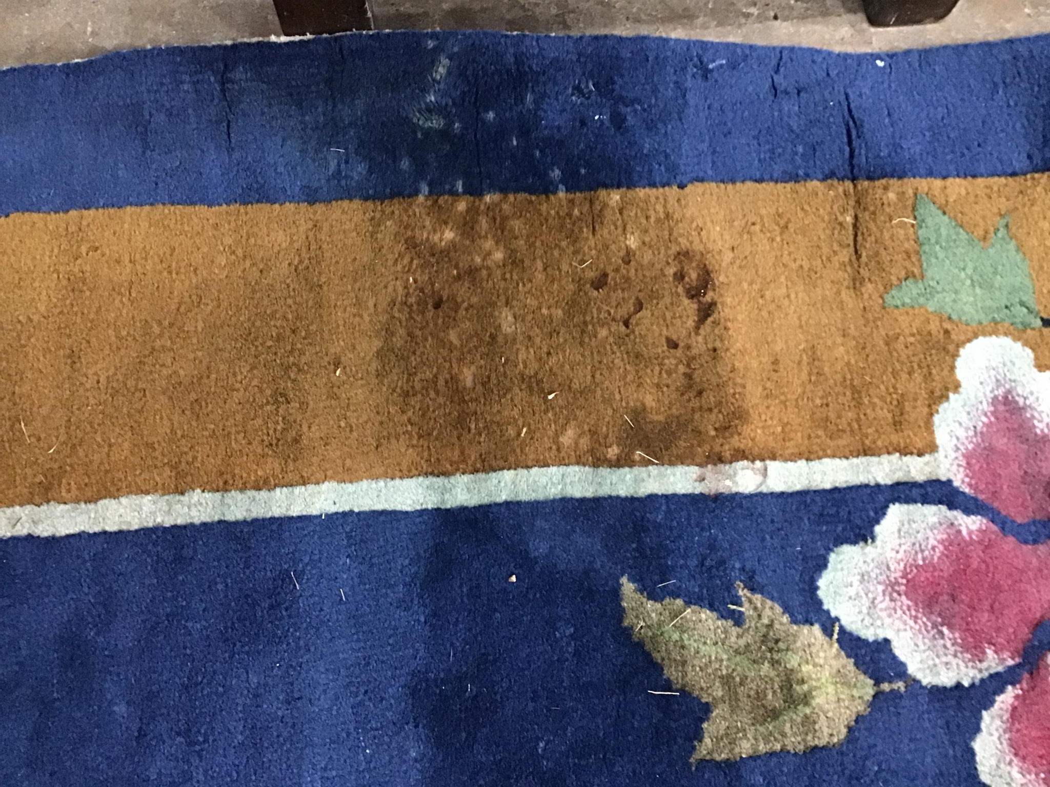 An early 20th century Chinese blue ground carpet woven with butterflies and flowering branches 450cm x 370cm